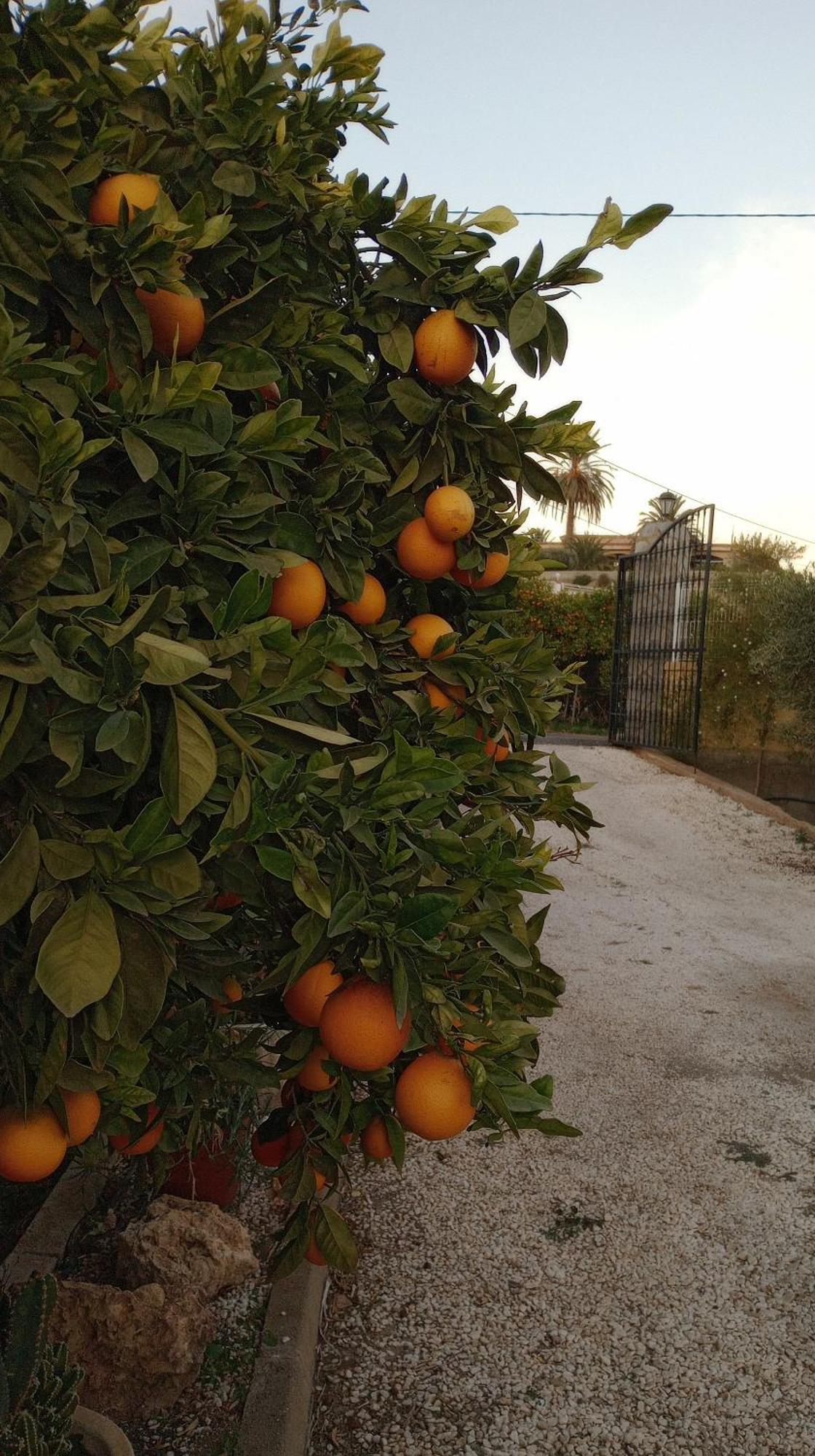فيلا Cortijo Paulenca المرية المظهر الخارجي الصورة